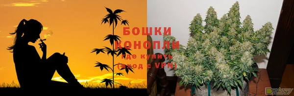 молекула духа Гусь-Хрустальный