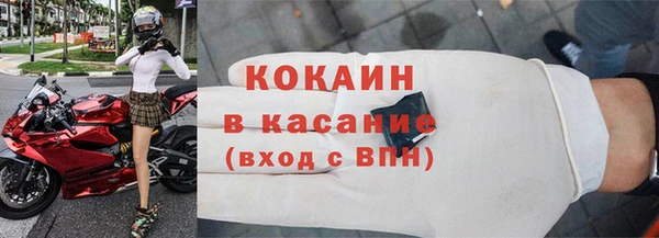 ПСИЛОЦИБИНОВЫЕ ГРИБЫ Дмитриев